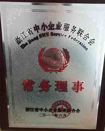 浙江省中小企業(yè)服務(wù)聯(lián)合會 常務(wù)理事
